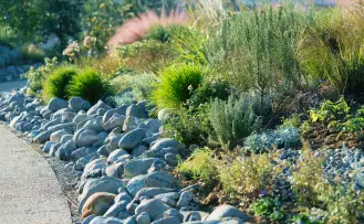 石積みと様々な種類の植物が組み合わさった、自然豊かな庭園